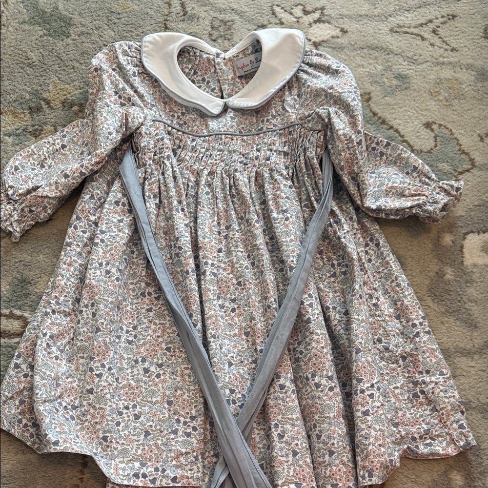 Sophie and Lucas 3T Floral Long Sleeve Dress with Peter Pan Collar